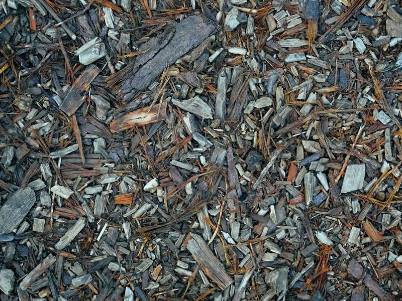 Freshly installed mulch in garden beds